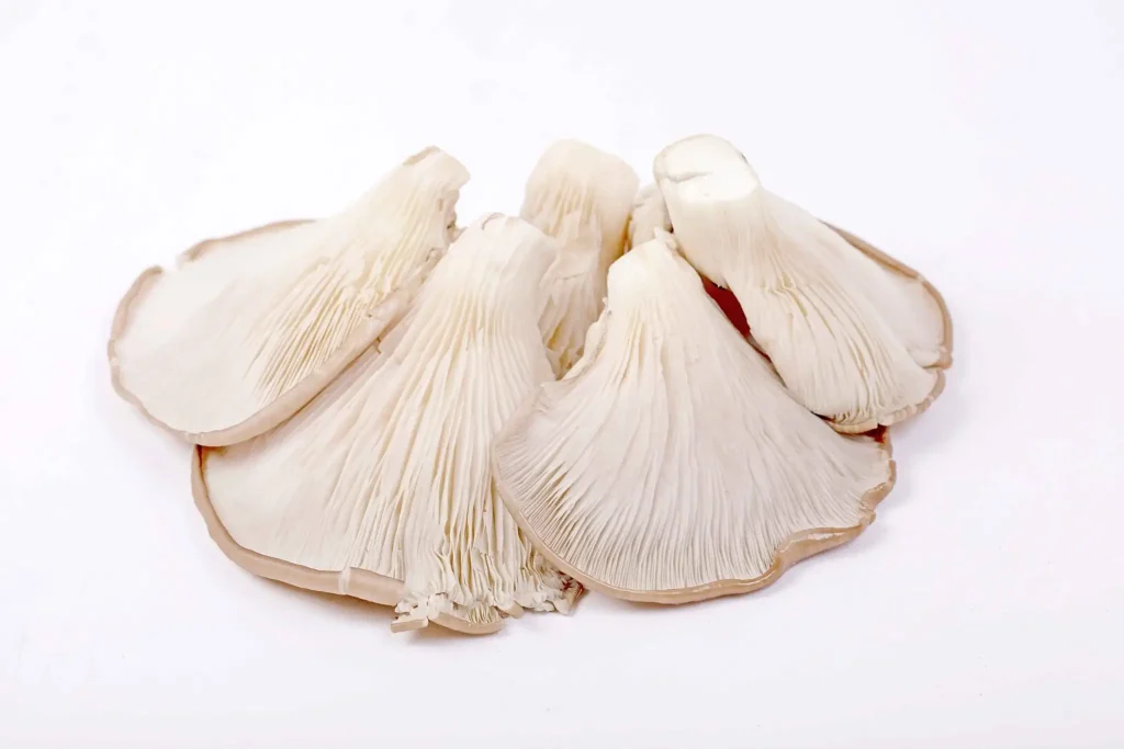 seta verdura con vitamina D setas verduras con vitamina d