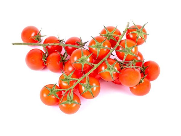 tomate.cherry.rama .02.jpg
