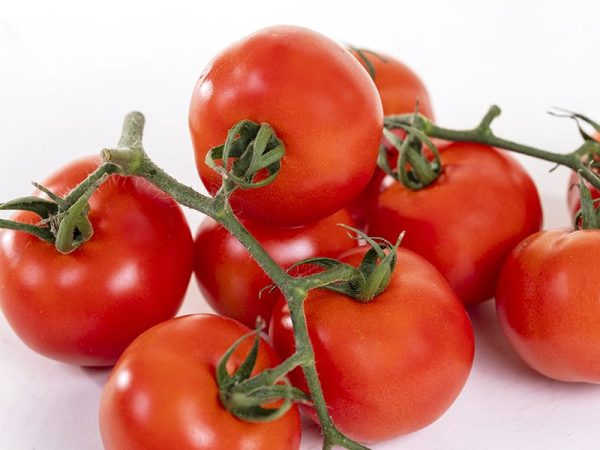 tomate.rama .02.jpg