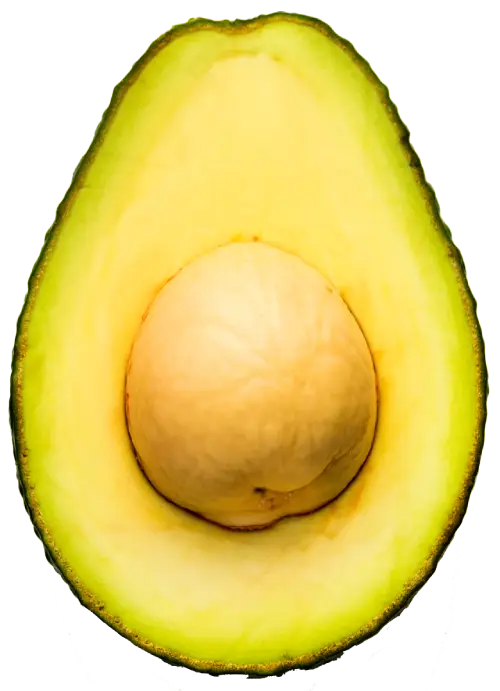 foto de aguacate aislado sobre fondo blanco