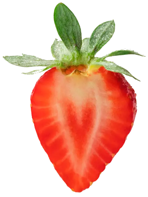 fresa