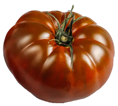 tomates organicos frescos vino brandy negro