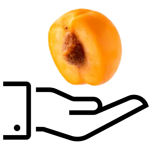 servicio-suscripcion-matundy